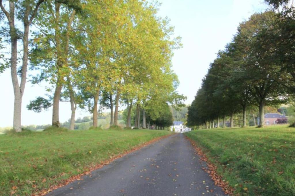 La Maisonnette Saint-Pierre-en-Auge 外观 照片